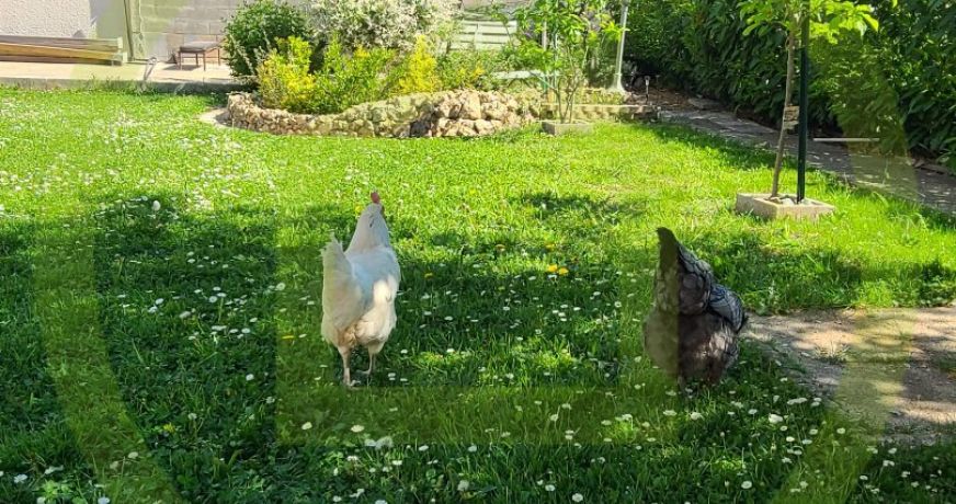 vente Maison individuelle Epernon