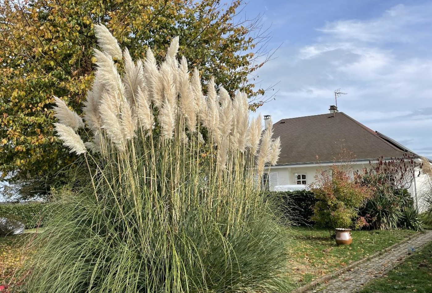 vente Maison La Souterraine - Photo 1