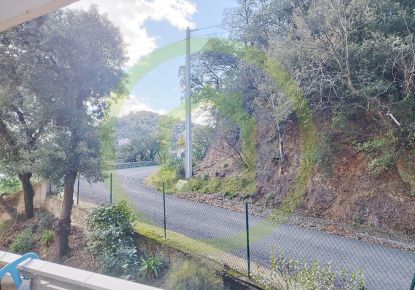 vente Appartement Amelie Les Bains Palalda