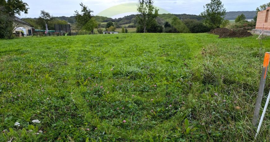 vente Terrain constructible Rodalbe
