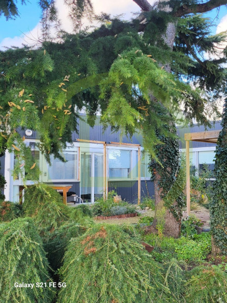 vente Maison loft Saint Cyr En Val - Photo 9