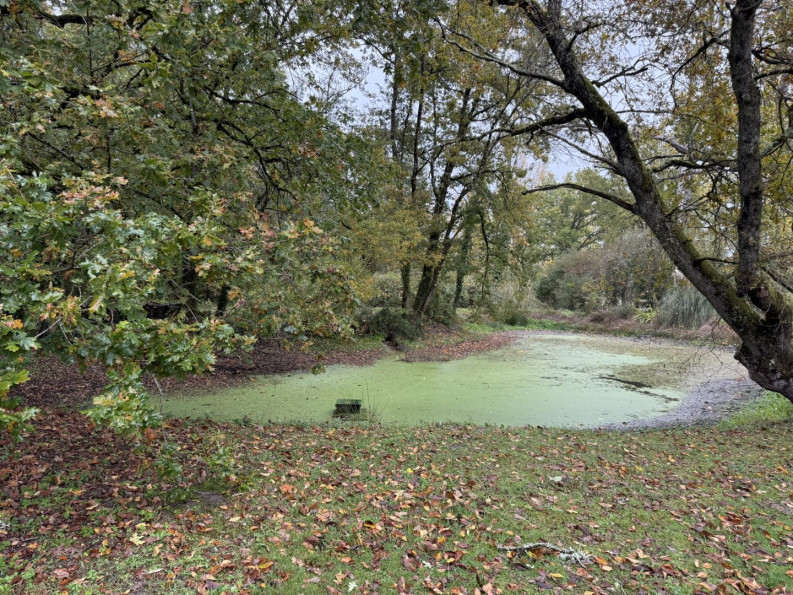 vente Propriété Langon - Photo 2