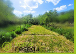 vente Maison Francaltroff