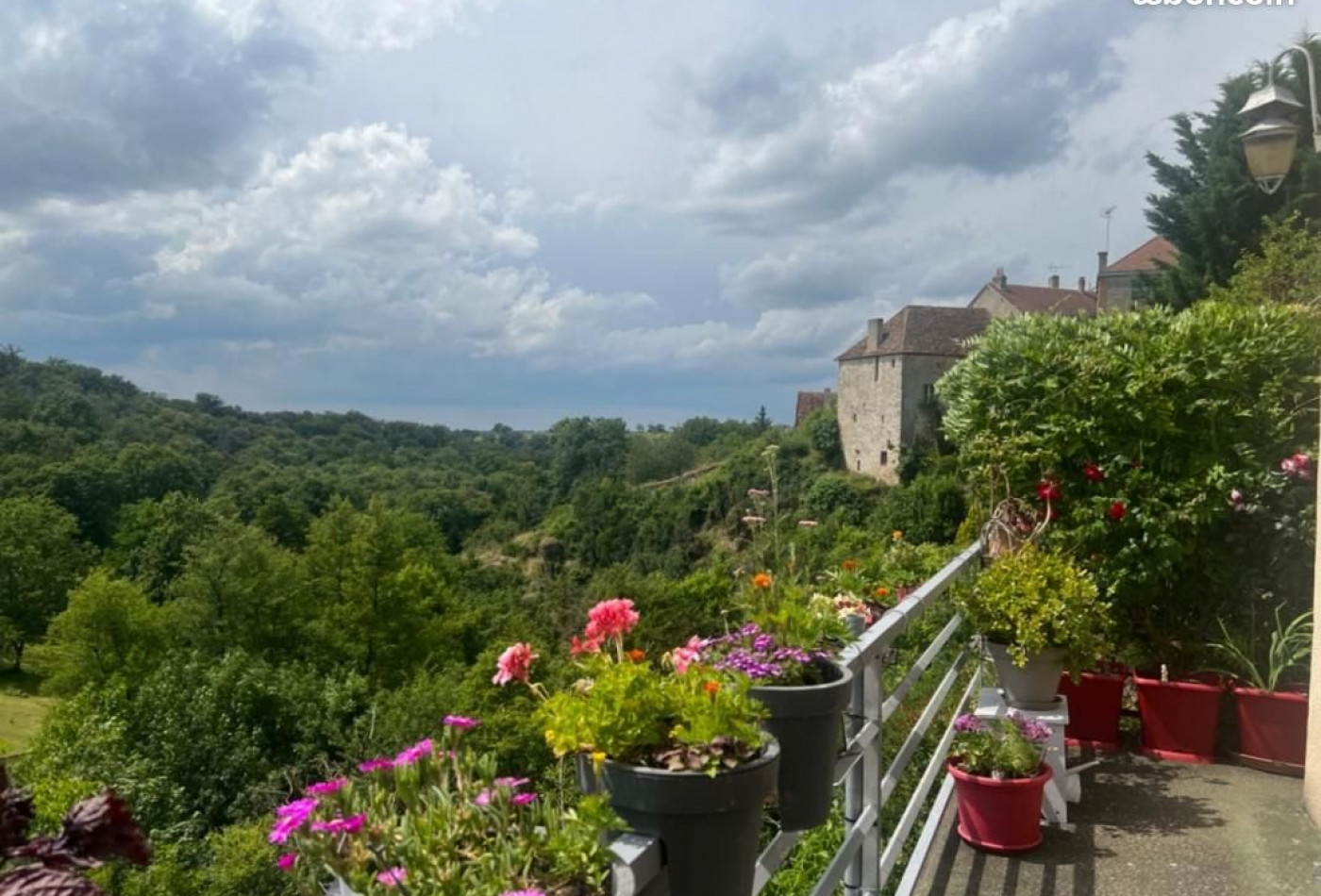 vente Maison Saint Benoit Du Sault - Photo 3