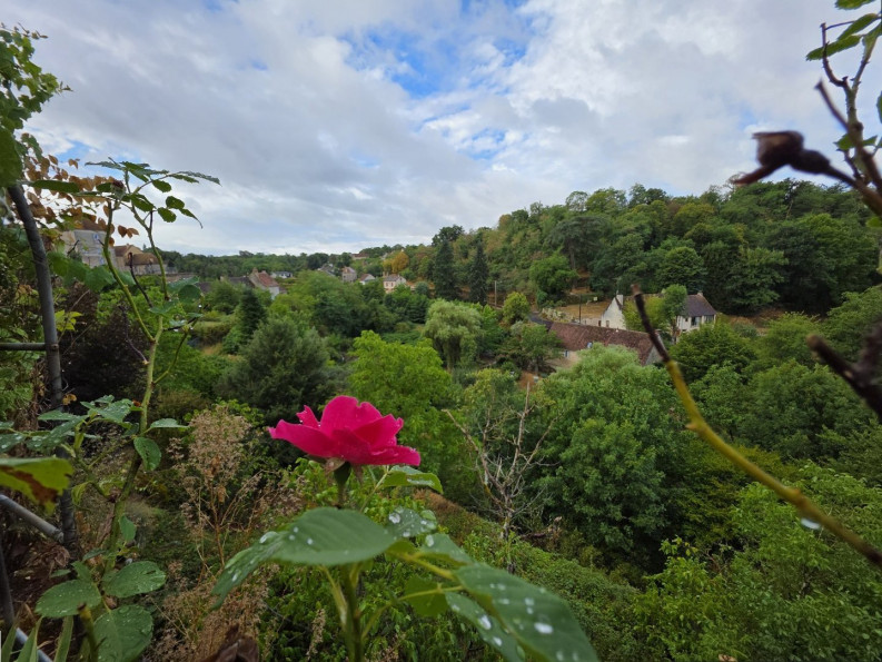 vente Maison Saint Benoit Du Sault - Photo 2