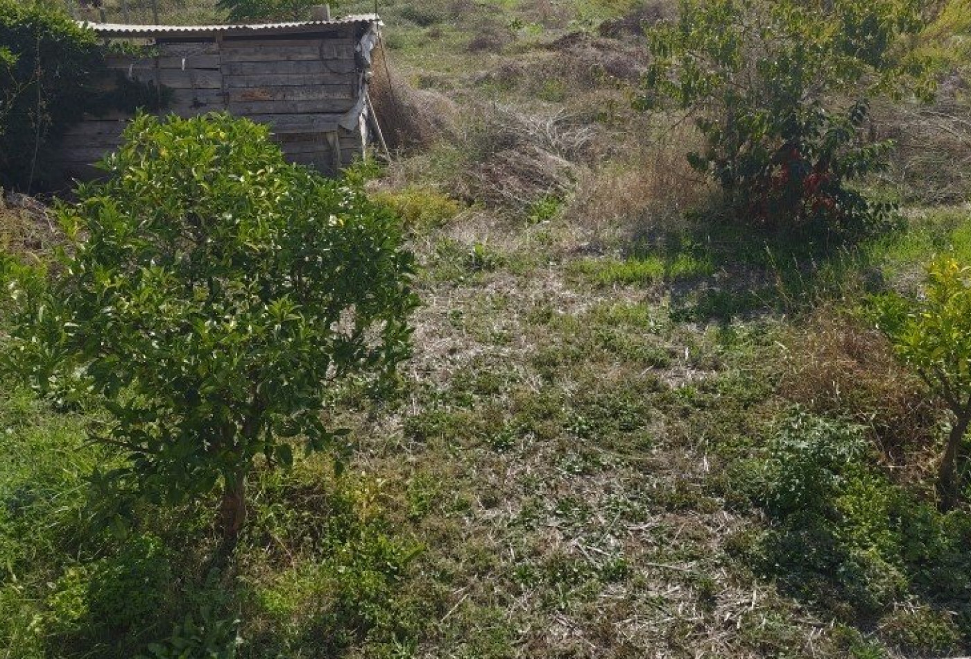 vente Terrain Bastelicaccia - Photo 1