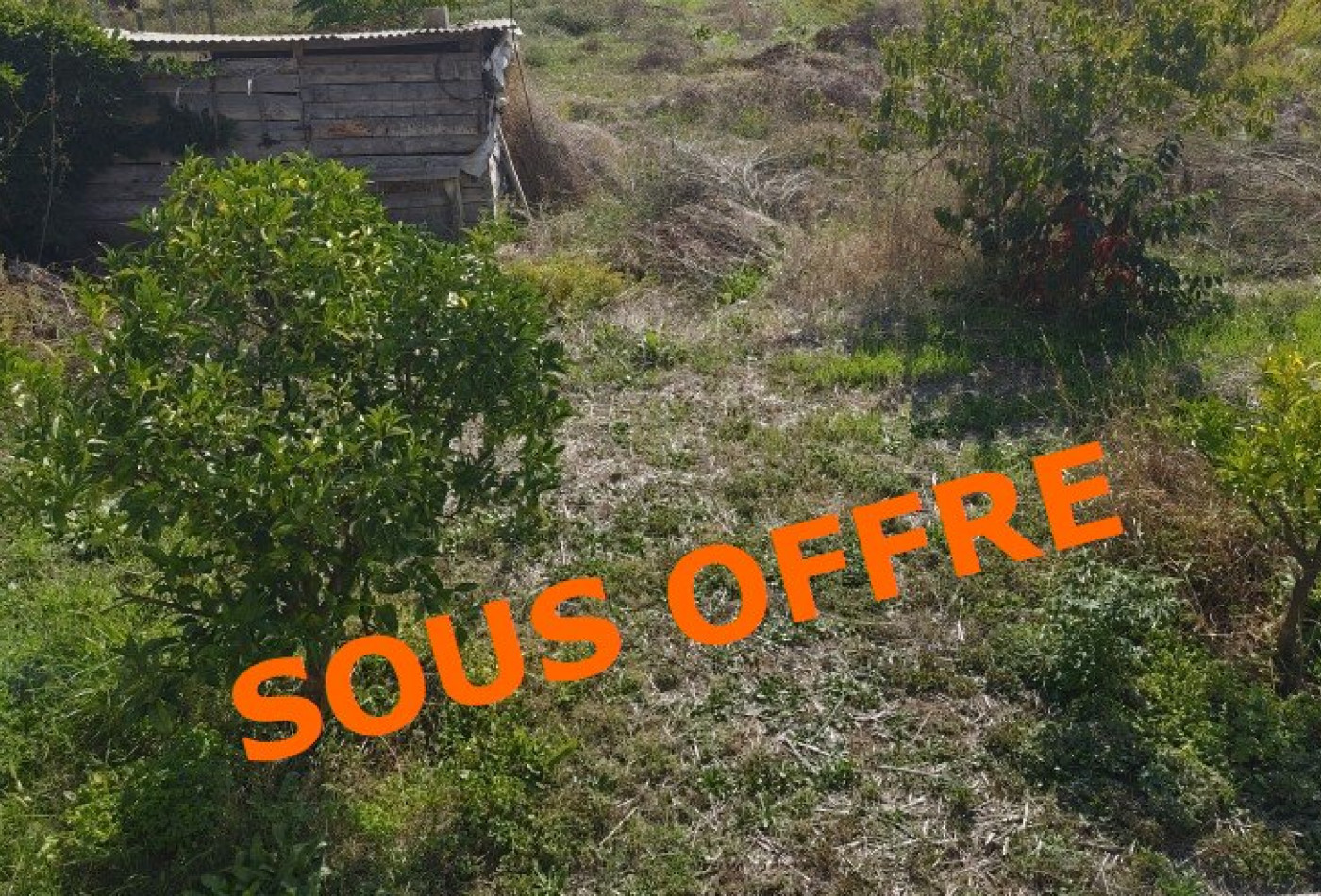 vente Terrain Bastelicaccia - Photo 1