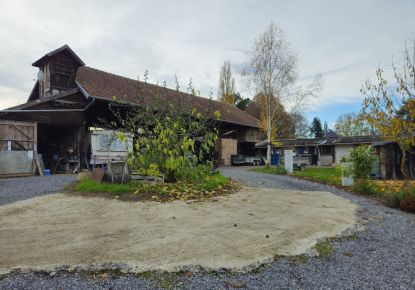 vente Immeuble Biaches