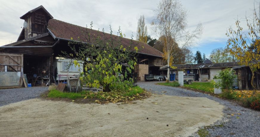 vente Immeuble Biaches