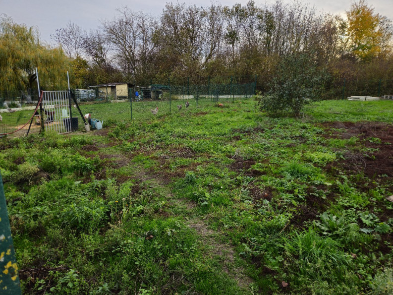 vente Immeuble Biaches - Photo 3