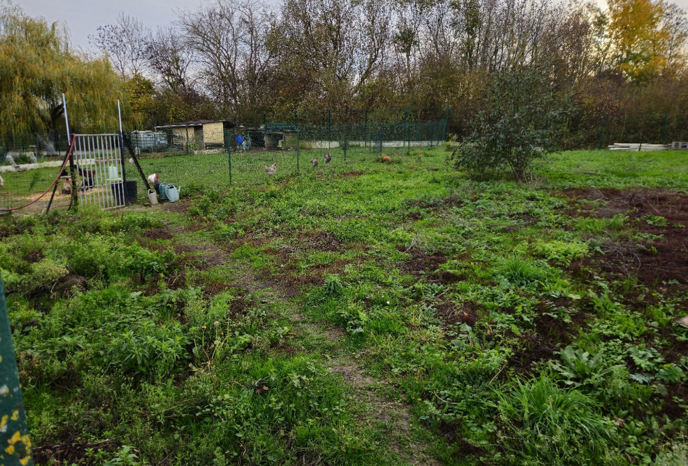 vente Immeuble Biaches - Photo 3