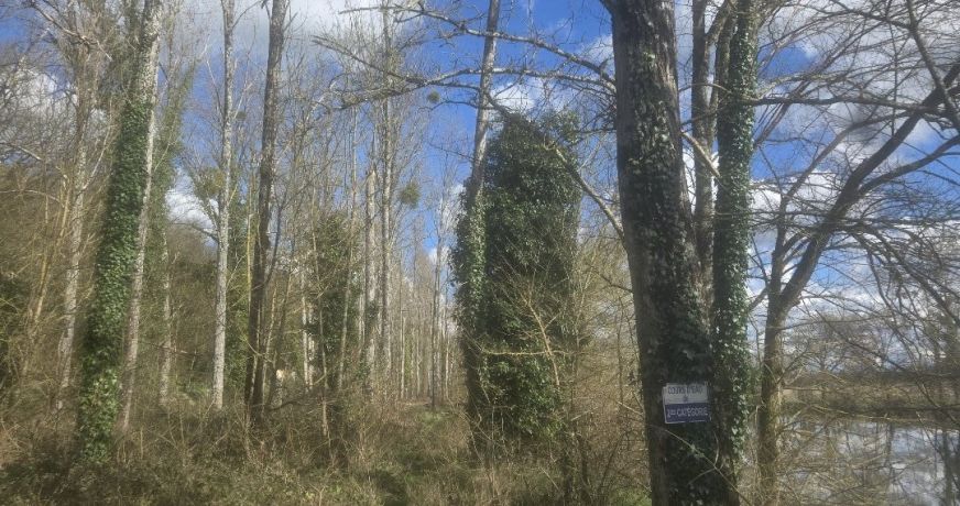 vente Terrain Fontgombault