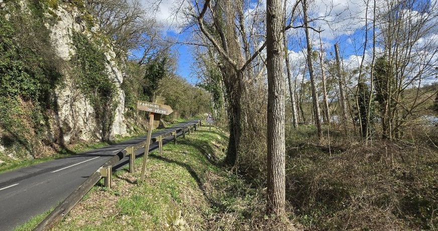 vente Terrain Fontgombault