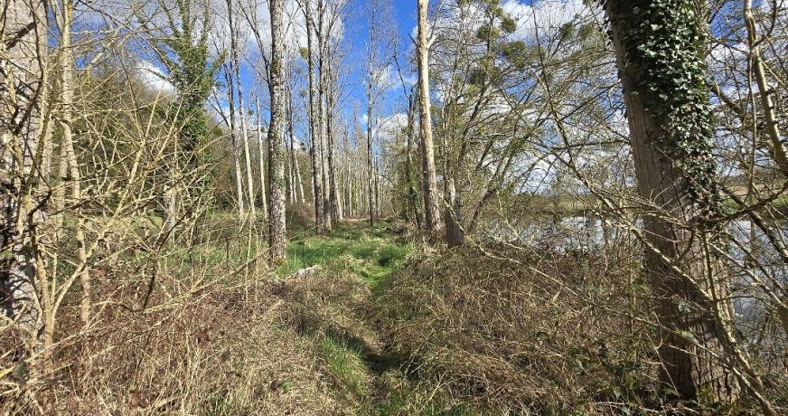 vente Terrain Fontgombault