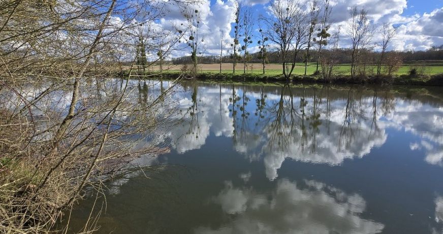 vente Terrain Fontgombault