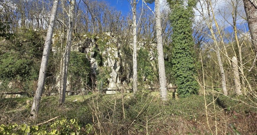 vente Terrain Fontgombault