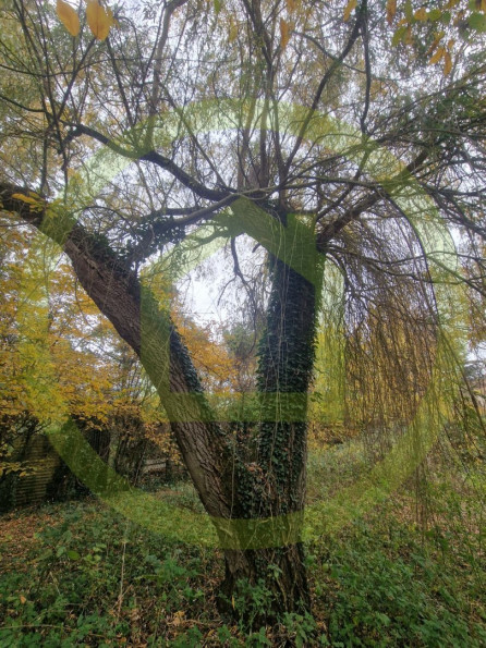 vente Terrain Bethemont La Foret - Photo 2