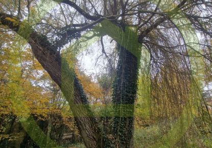 vente Terrain Bethemont La Foret