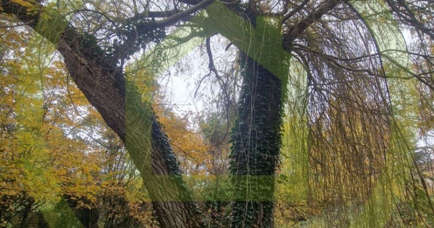 vente Terrain Bethemont La Foret