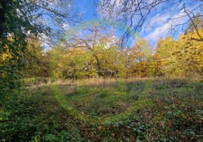 vente Terrain Bethemont La Foret