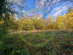 vente Terrain Bethemont La Foret