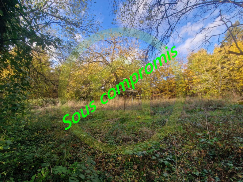 vente Terrain Bethemont La Foret - Photo 1