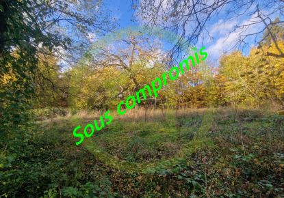 vente Terrain Bethemont La Foret