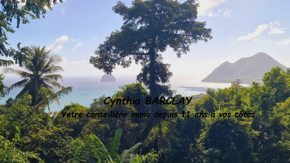 vente Maison de campagne Le Diamant - Photo 1