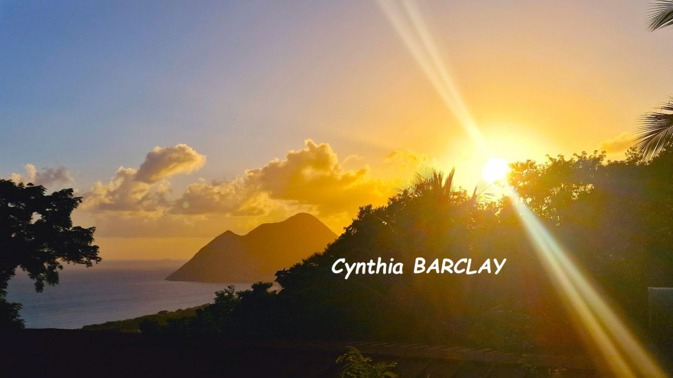 vente Maison de campagne Le Diamant - Photo 2