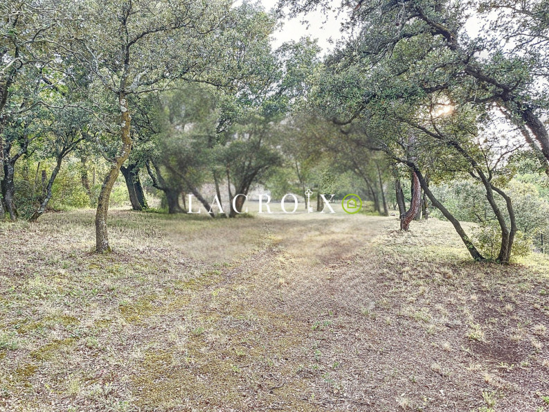 vente Terrain non constructible Monteux - Photo 6