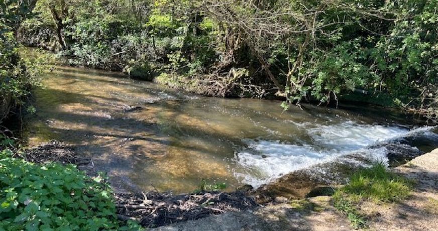 vente Moulin Besse Sur Braye