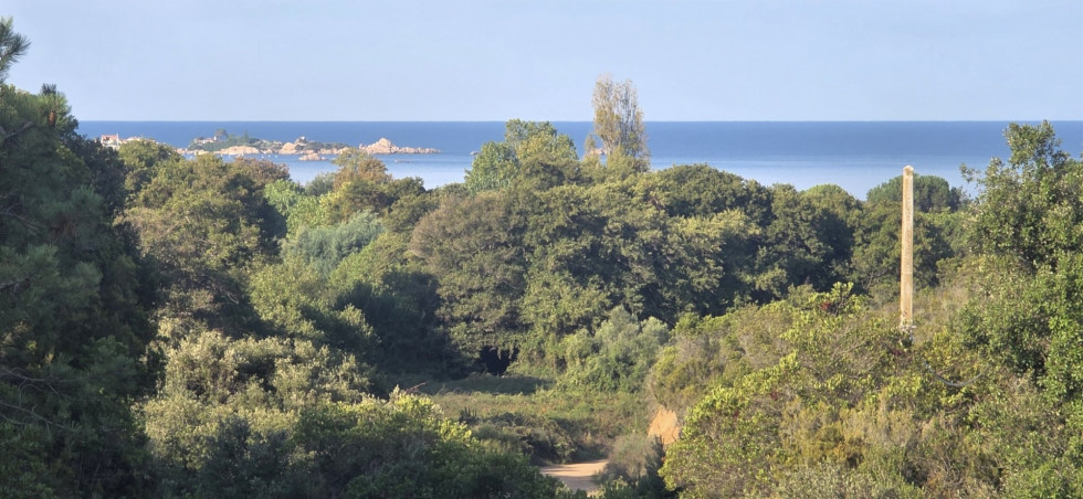 vente Appartement Pietrosella - Photo 1