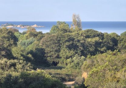 vente Appartement Pietrosella