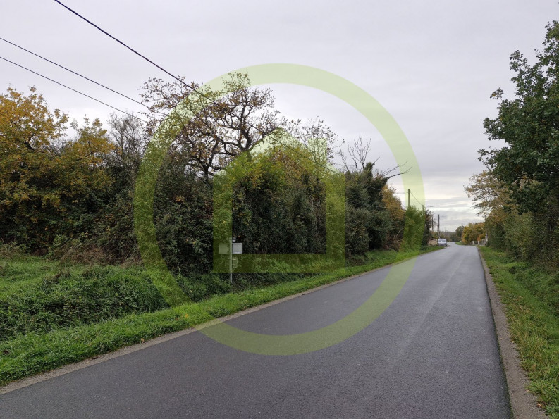 vente Terrain Le Blanc - Photo 1