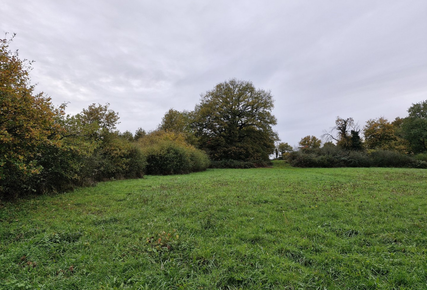 vente Terrain Le Blanc - Photo 4