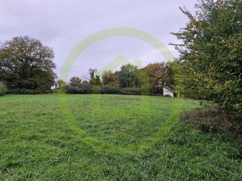 vente Terrain Le Blanc - Photo 3