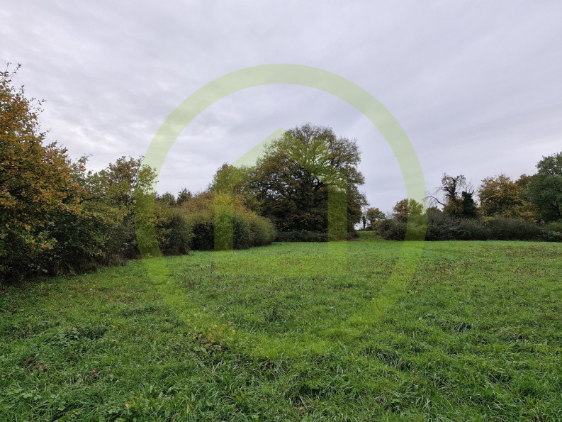 vente Terrain Le Blanc - Photo 4