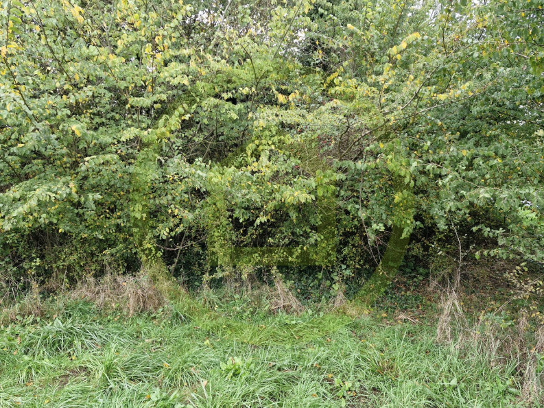 vente Terrain Le Blanc - Photo 5