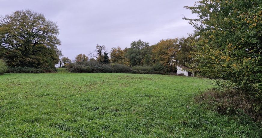 vente Terrain Le Blanc