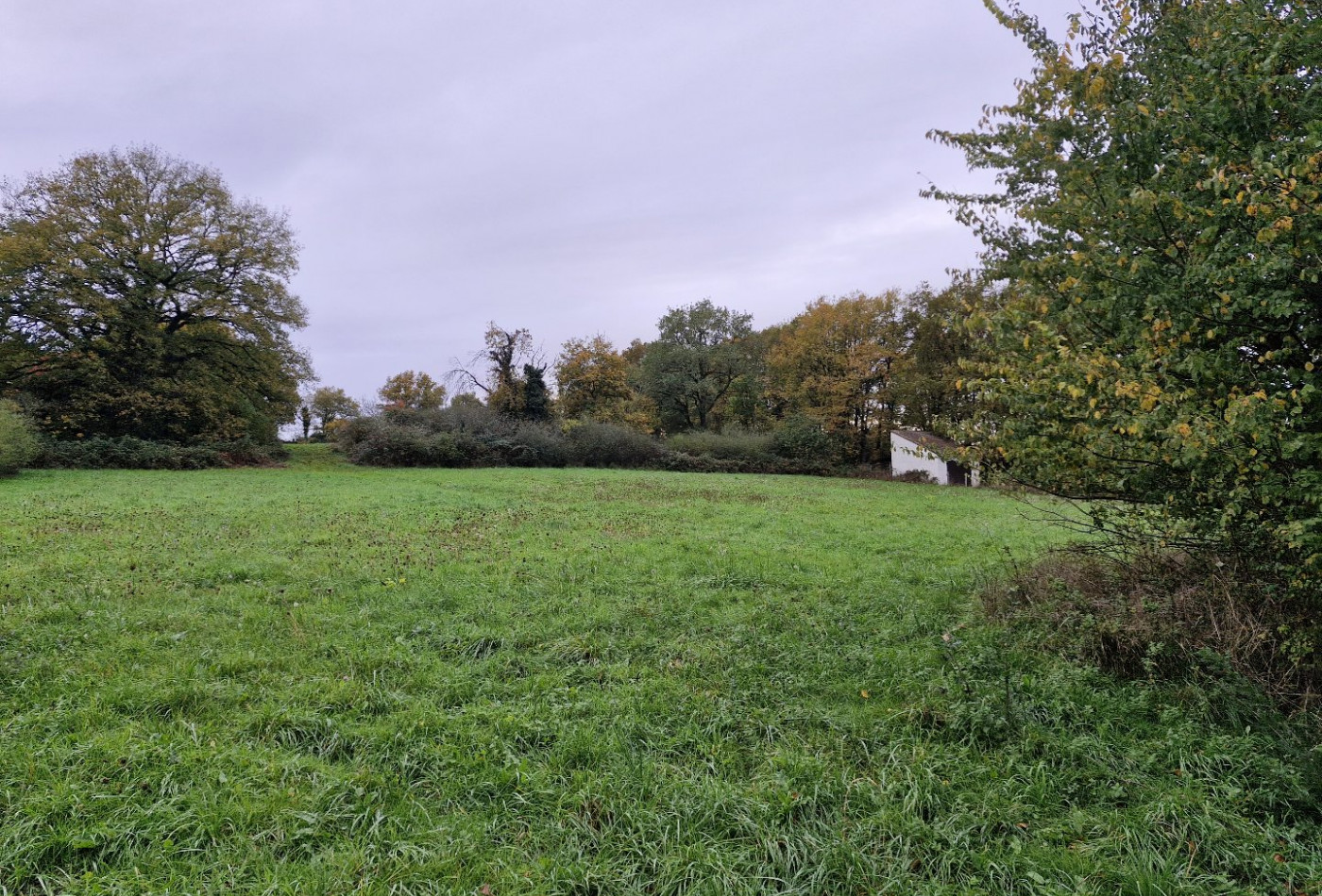 vente Terrain Le Blanc - Photo 3