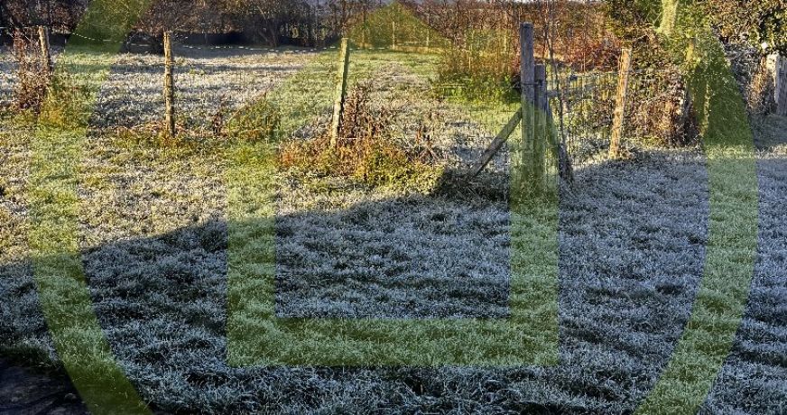 vente Maison Pionnat