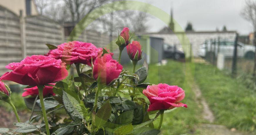 vente Maison Maubeuge