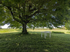 vente Maison individuelle Merceuil