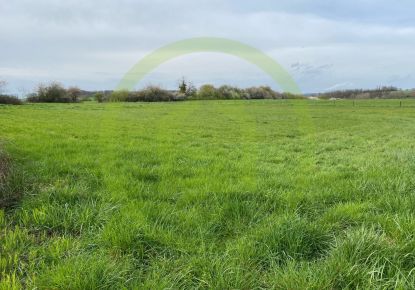 vente Terrain Velleminfroy