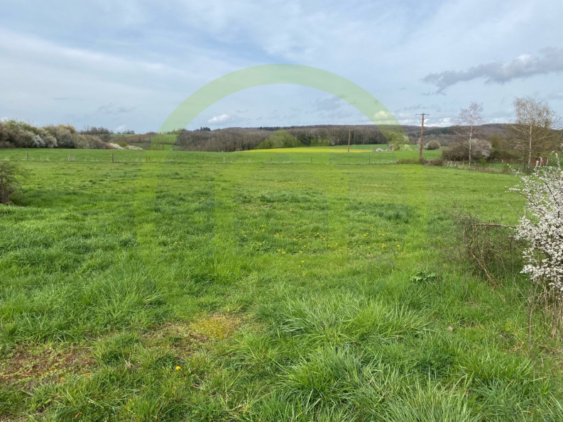 vente Terrain Velleminfroy - Photo 2