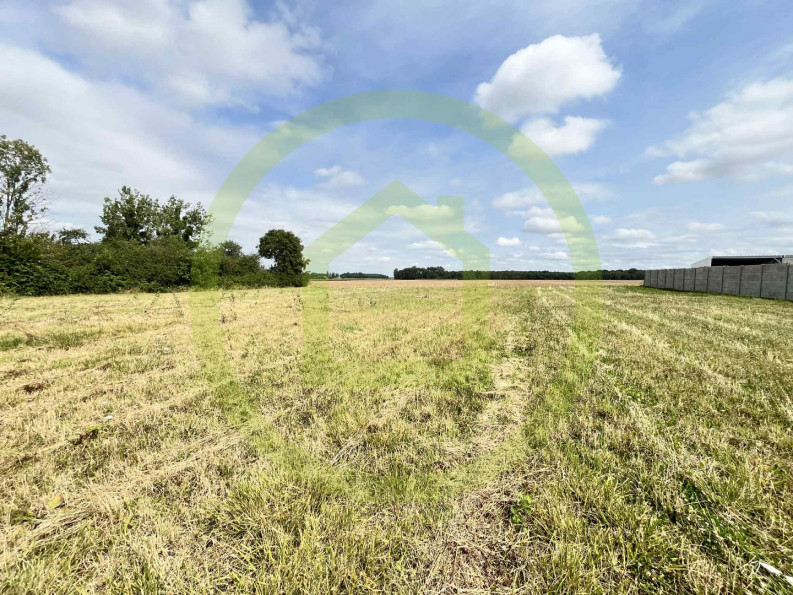 vente Terrain Libermont - Photo 1