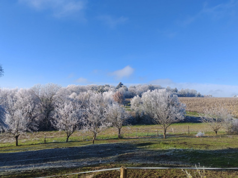 vente Maison Bossay Sur Claise - Photo 9