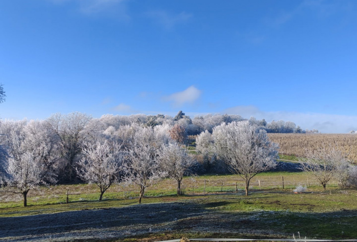 vente Maison Bossay Sur Claise - Photo 1