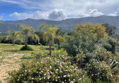 vente Maison Calcatoggio