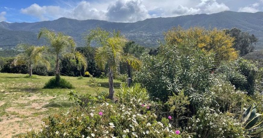 vente Maison Calcatoggio